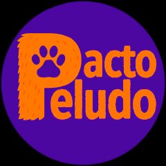 Pacto