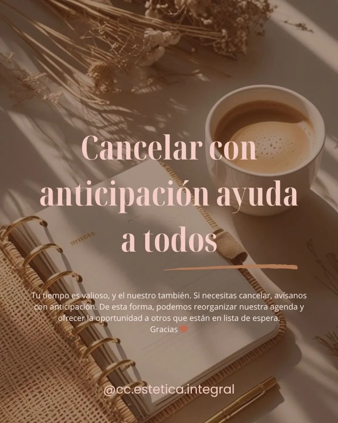 Trabajo del centro